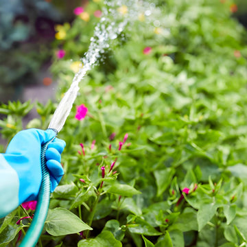 Garden Hoses