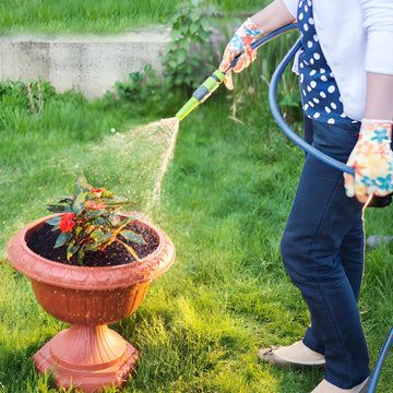 Garden Must-Haves